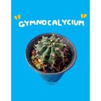 ราคา กระบองเพชร ยิมโนคาไลเซียม Gymnocalycium สีเขียว (13436119550)