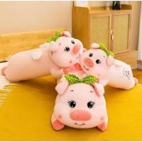 ราคา ตุ๊กตาหมอนกอดหมอนข้างหมู ตุ๊กตาหมอนทรงยาว หมอนกอด หมอนอิง ยัดนุ่นใยสังเคราะห์เกรดดี สวย นุ่ม น่ารักมาก (28917332191)