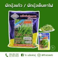 ราคา เมล็ดผักบุ้งแก้ว บิ๊กโฟร์ ผักบุ้ง เย็รตาโฟ ผักบุ้งเย็นตาโฟ ผักบุ้งบ้องใหญ่ ตรา AAA (9654613068)