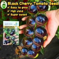 ราคา ผลผลิตสูง 80เมล็ด/ซอง เมล็ดพันธุ์มะเขือเทศเชอรี่ สีดำ High Yield Black Pearl Cherry Tomato Seeds for Planting (54204830802)