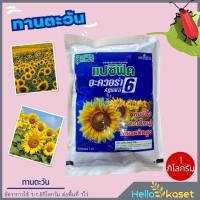 ราคา แปซิฟิก เมล็ดพันธุ์ทานตะวัน อะควอร่า 6 แปซิฟิค 1kg ตะวันลูกผสม ดอกทานตะวัน เมล็ดทานตะวัน (18993289680)