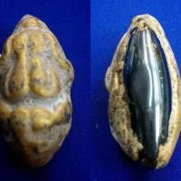 ราคา พระปิดตาเนื้อชินทองบนเหล็กไหล กรุดอยไซ (41452731018)