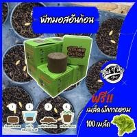 ราคา (เเถมเมล็ดผักสลัด) พีทมอสอัดก้อน ดินเพาะปลูก ดินปลูก พีทมอส ปุ๋ย (6394970750)