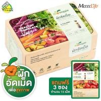 ราคา BioVeggie Vegetable ไบโอเวกกี้ [150 เม็ด] ผักอัดเม็ด 12 ชนิด เพื่อสุขภาพ (42362053229)