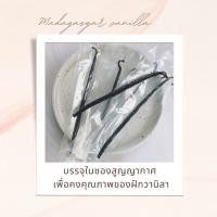 ราคา ฝักวนิลาแท้ มาดากัสการ์ เกรด A (แพ๊ค 1 ฝัก) ฝักวานิลลา vanilla (5941457695)