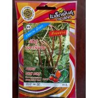 ราคา เมล็ดถั่วพุ่มม่วง 10 แถม 1 ถั่วพุ่มม่วง ถั่วพุ่ม purple bush bean เมล็ดพันธุ์ผัก (14784934999)