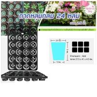 ราคา ถาดหลุมกลม 2.5นิ้ว หลุม 24 หลุม ถาดใส่กระถางต้นไม้ ถาดหลุมพลาสติก พร้อมส่ง (29823881905)