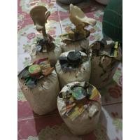 ราคา เห็ดลม เห็ดขอน เห็ดบด เชื้อเห็ดสำหรับเพาะใส่ขอนไม้ หรือเปิดออกคาก้อนเห็ด (9005710523)