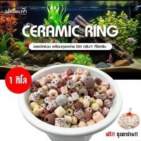 ราคา (พร้อมส่งทุกวัน) หินดูดกลิ่นตู้ปลา ชิ้นล่ะหินกรองตู้ปลา Ceramic Ring เซรามิค ริง สำหรับกรองน้ำบ่อปล (29606295604)