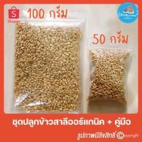 ราคา ชุดปลูกต้นข้าวสาลีอ่อนออร์แกนิคสำหรับสุนัข แมว กระต่าย และสัตว์เลี้ยง (4212283)