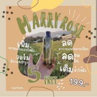 ราคา Marryrose น้ำตบแมรี่โรส (4217165605)