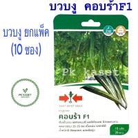 ราคา ยกแพ็ค (10ซอง) เมล็ดบวบงู คอบร้า F1 ศรแดง ซองแข็ง 10 เมล็ด ผักสวนครัว (24151787452)