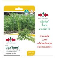 ราคา 5 ฟรี 1 คละได้เมล็ดพันธุ์ ขึ้นฉ่าย นวลจันทร์ ศรแดง เมล็ดพันธุ์พืช เมล็ดผัก เมล็ดพันธุ์ (2489682461)