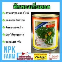 ราคา ปลาทอง ฟักทองเก็บยอด [ขนาด 30 กรัม ]หมดอายุ 06/2570 ฟักแม้ว ฟักทองยอดแม้ว ฟักทอง ยอดอวบ กินอร่อย (27759040133)