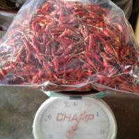 ราคา พริกกะเหรี่ยงตากแห้ง 0.5 กก รสเผ็ด เม็ดยาว (4208457713)