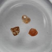 ราคา โล/หิตธาตุ พระธรรมโกศาจารย์ (เงื่อม อินทปญฺโญ) ท่านพุทธทาสภิกขุ สวนโมกขพลาราม (28269834758)