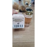 ราคา น้ำหอม PRADA CANDY แท้ (มือสอง สภาพ 95%) (24307551130)