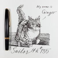 ราคา #135 Sailor Pocket 14K Gold Nib Fountain Pen : ปากกาหมึกซึม Sailor Pocket หัวทอง 14K (4490806172)