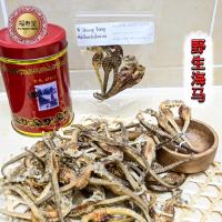ราคา ม้าน้ำตากแห้ง (Seahorses)แบบเพราะพันธ์ตัวยาสมุนไพร บำรุงกำลัง แก้อาการปวดเมื่อยเอวและหัวเข่า (8576748252)