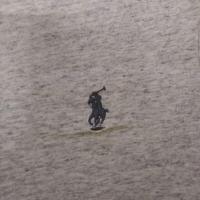 ราคา polo ralph lauren เสื้อแบรนด์โปโล (18489010156)