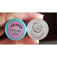 ราคา คอนแทคเลนส์ (สายตา -400) Praiya สีเทา ยี่ห้อ Sweety plus Dia 14.5 (5138065840)
