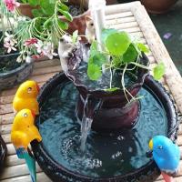 ราคา ได้ 3 ชิ้น ชุดน้ำริน ออก 1 ทาง พร้อมฐาน อ่าง 12 นิ้ว ทำน้ำตก ตั้งโชว์ ตกแต่งสวน พร้อมส่ง (27160477307)