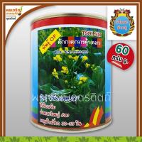 ราคา เมล็ดพันธุ์ ผักกาดกวางตุ้ง กวางตุ้งดอกต้นเขียว เขียวหยก (60 กรัม) เมล็ดกวางตุ้งดอก เมล็ดพันธุ์ผักสวนครัว ตรากำไลทอง (6479845755)