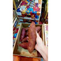 ราคา มันหวานญี่ปุ่น ขนาด 3 กิโลกรัมยกลัง หวานฉ่ำอร่อย (56902718662)