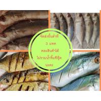 ราคา ปลาทูมันหอม แดดเดียว (7773138968)