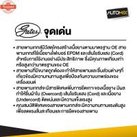 ราคา สายพาน PIAGGIO LXV150/PRIMAVRA150/SPRINT 150/GTS150 POWERLINK SCOOTER BELT สายพานมอเตอร์ไซค์ อะไหล่มอไซค์ อะไหล่แต่ง มอเ (26640527188)
