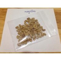 ราคา เมล็ดพะยูงไทย 100 เมล็ด (2671817099)