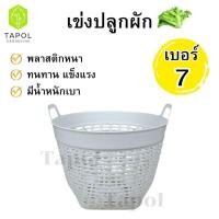 ราคา เข่งปลูกผัก เข่งพลาสติก เบอร์ 7 มี 3 สี ขาว / ดำ / เทา ตะกร้าพลาสติก ขนาดกำลังดี ระบายน้ำได้ดี (40222072259)
