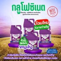ราคา [แพ็ค4แกลลอน] *โฉมใหม่* NAAK กลูโฟซิเนต 4 ลิตร กระติกม่วง กลูโฟซิเนต-แอมโมเนียม (glufosinate-ammonium) 15% W/V SL (40760289510)