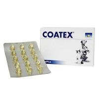 ราคา COATEX 1 กล่อง บรรจุ 60 เม็ด Exp.2/2027 บำรุงขนและผิวหนัง (12133079416)