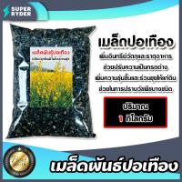 ราคา เมล็ดพันธุ์ปอเทือง บรรจุ 1กิโลกรัม เมล็ดปอเทือง เม็ดปอเทือง สายพันธ์ปอเทือง พันธุ์ปอเทือง เม็ดพันธุ์ปอเทือง ดอกปอเทือง (28165470424)