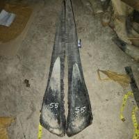 ราคา แถบเขาควายยาว 55-59 ซม (43855304645)