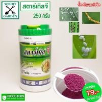 ราคา สตาร์เกิล จี (Starkle G) สารกำจัดแมลง ขนาด 250 กรัม (6084514427)