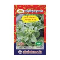 ราคา เมล็ดคะน้าฮ่องกง Chinese Kale เมล็ดพันธุ์คะน้าฮ่องกง เมล็ดผัก เมล็ดผักสวนครัว เมล็ดคะน้า เมล็ดพันธุ์ผัก เมล็ดพันธุ์คะน้า (6958892187)
