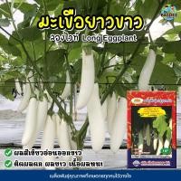 ราคา เมล็ดมะเขือยาวขาว ลองไวท์ Long Eggplant ตราภูเขาทอง เมล็ดพันธุ์มะเขือยาวขาว มะเขือยาวขาว เมล็ดมะเขือยาว (5858886960)