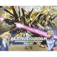ราคา 1/100 Akatsuki Gundam (24114034000)