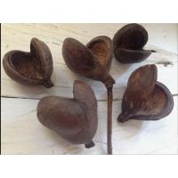 ราคา ลูกไม้แห้งจากธรรมชาติ1ชุด5ชิ้น (24682246193)