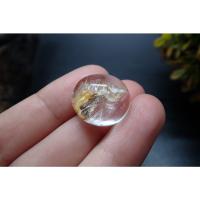 ราคา แก้วโป่งข่าม แก้วกาบเงินกาบทอง (17262043128)