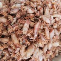 ราคา สินค้าใหม่, กระต่ายทะเลขนาดเล็ก, สินค้าแห้ง, 500 กรัม, กระต่ายทะเล, ปลาหมึกขนาดเล็ก, ปลาหมึก, เมล็ด (26826898149)