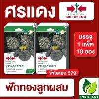 ราคา เมล็ดพันธุ์ผัก ผักซอง ฟักทอง ข้าวตอก573 GG ตราศรแดง บรรจุแพ็คละ 10 ซอง (22966098992)