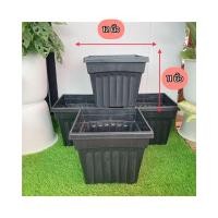 ราคา กระถาง 12 นิ้ว ทรงสี่เหลี่ยมโรมัน (สีดำ) สุดปัง กระถางต้นไม้พลาสติก เหนียว ทนทาน (14765208654)