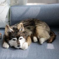 ราคา สุนัขจำลองฮัสกี้โกลเด้นรีทรีฟเวอร์ตุ๊กตาสัตว์ขนาดเล็กเดสก์ท็อปตกแต่งอุปกรณ์ประกอบฉากความรู้ความเข้าใจเยอรมันเชพเพิร์ดสุน (29954622323)