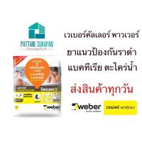 ราคา Weber ยาแนวเวเบอร์ป้องกันราดำ โพรเทค3 (2282818535)