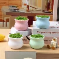 ราคา กระถางดอกไม้ขนาดเล็ก กระถางดอกไม้พลาสติก ลวดกำมะหยี่ ไหมพรม สำหรับงานประดิษฐ์ (51152577078)