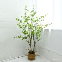 ราคา ตกแต่งม้าไม้เมาต้นไม้จําลองต้นไม้ปลอมพืชสีเขียวร้านขายเสื้อผ้าของผู้หญิงนอร์ดิกหน้าต่างแขวนนาฬิกาขายส่งห้องนั่งเล่นญี่ปุ่นกระถาง (57251497970)