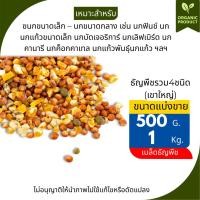 ราคา อาหารนกเขาใหญ่ เขาชวา เขาแขก นกพิราบ (แบ่งขาย 500 G-1 KG.) (27940559604)